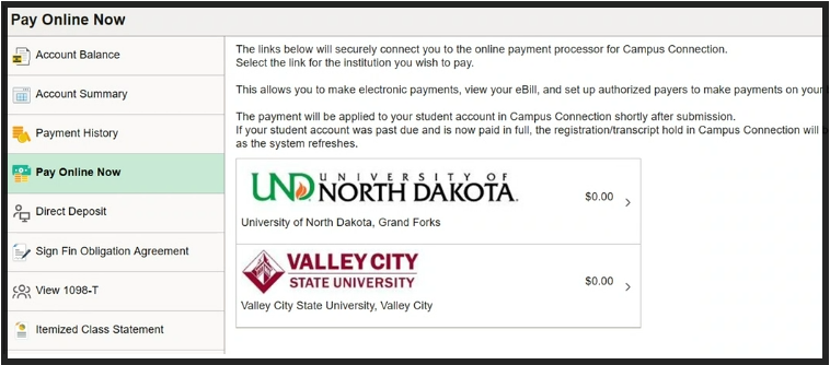 A screenshot of a pay bill

AI-generated content may be incorrect., Picture